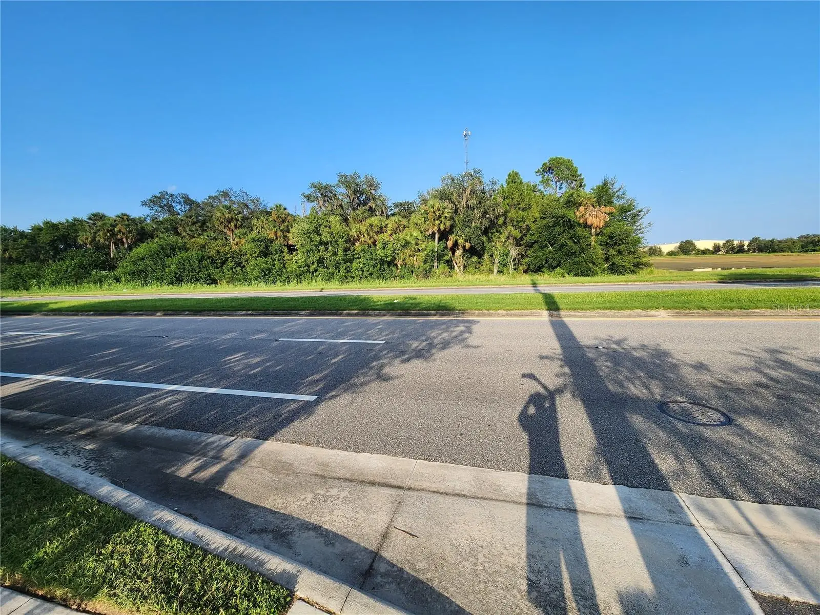 Albright Road, FL