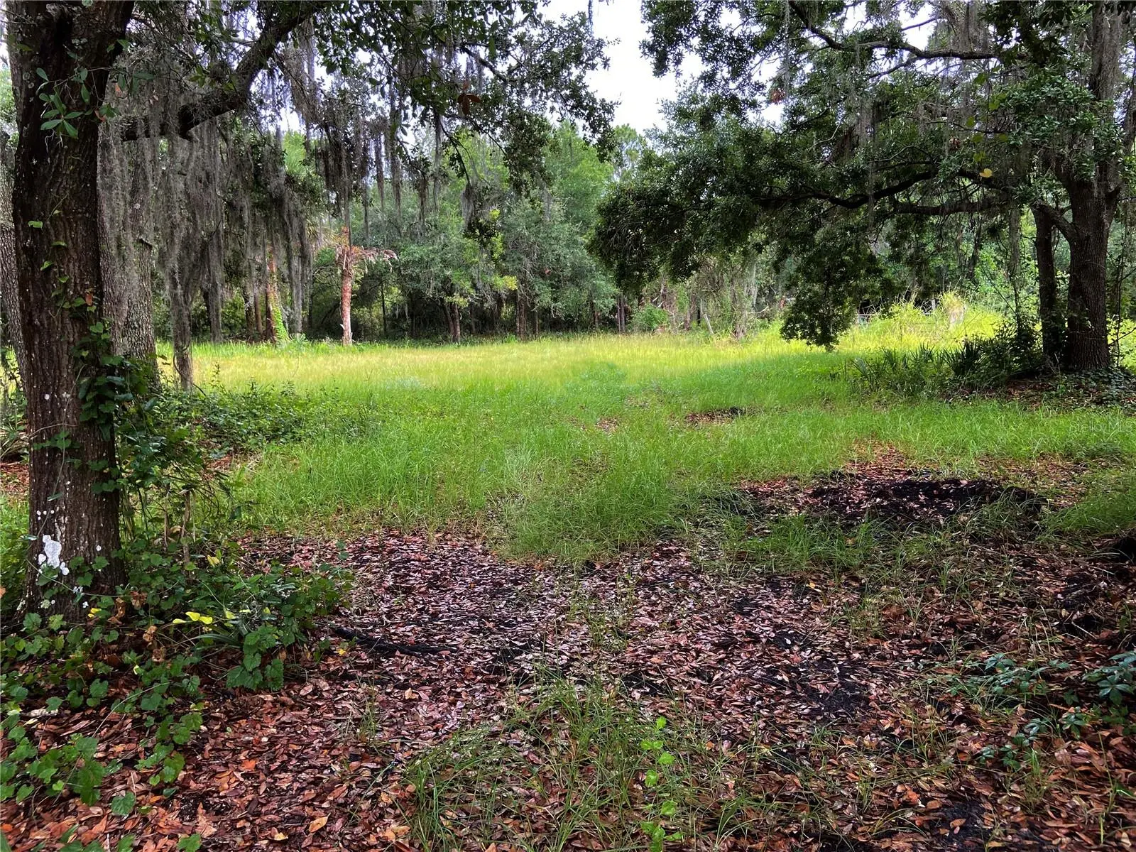 Lightfoot Road, FL
