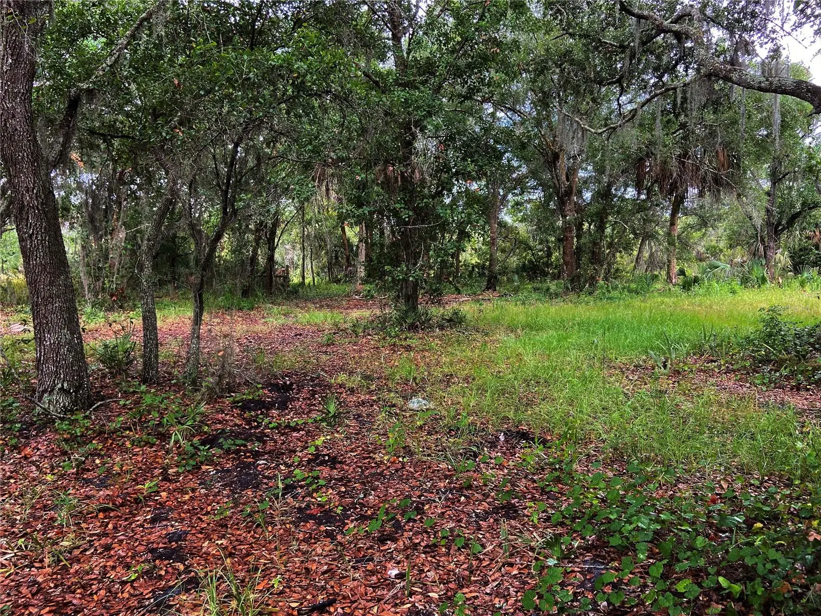 Lightfoot Road, FL