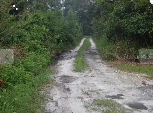 Maryland Street, FL