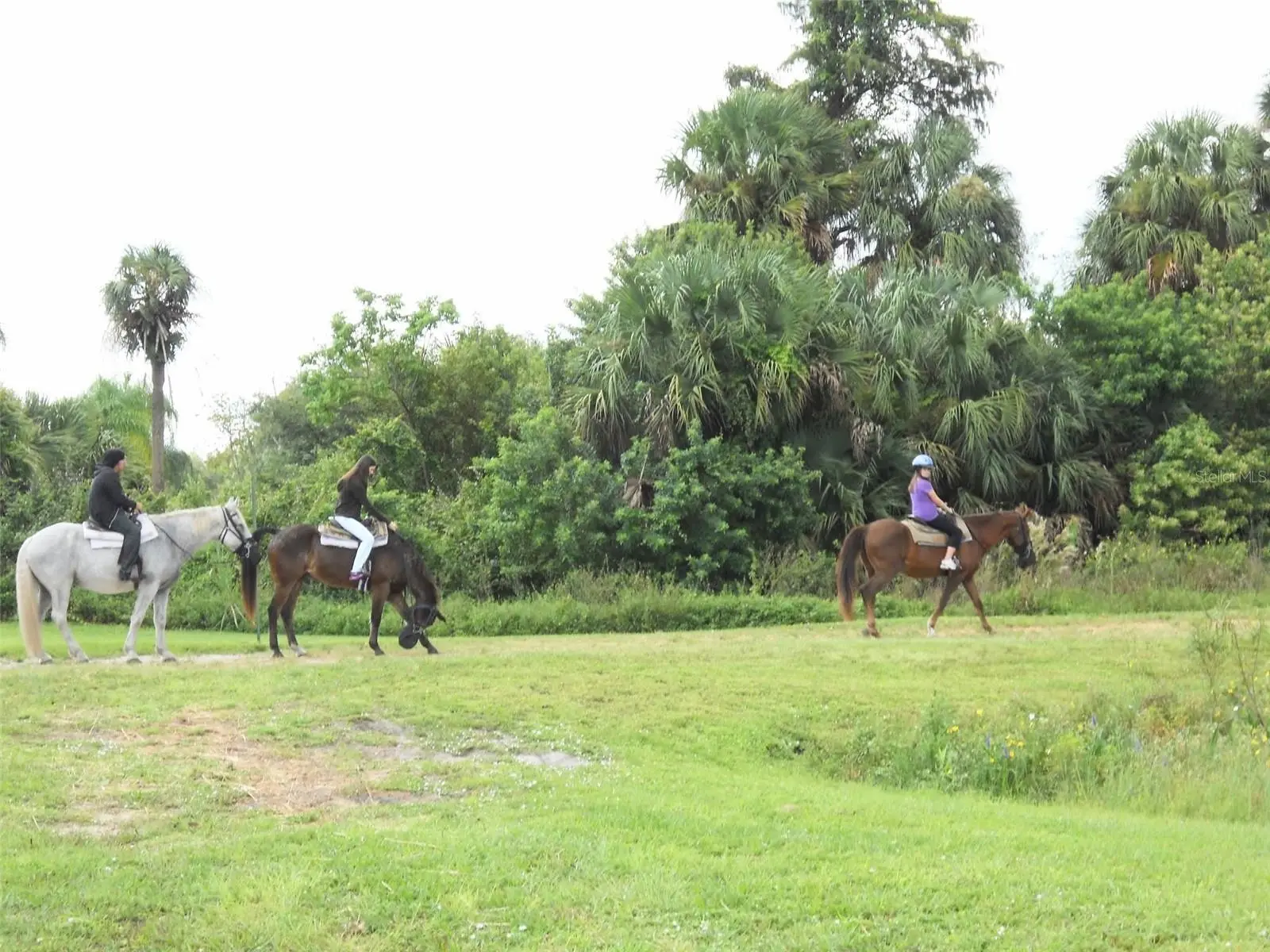 Lot A Burhans Road, FL