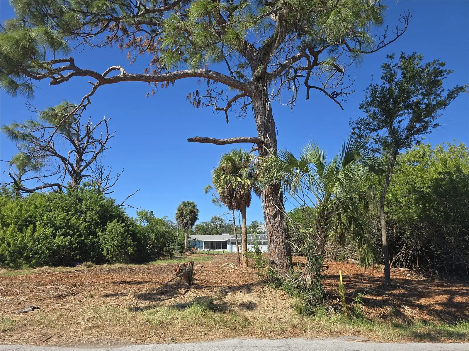 6313 Oelsner Street, FL