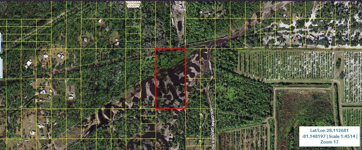 Holopaw Groves Road, FL
