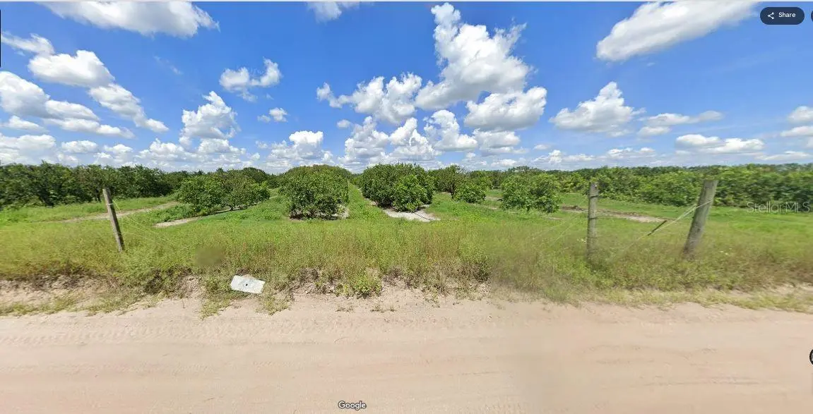 Holopaw Groves Road, FL