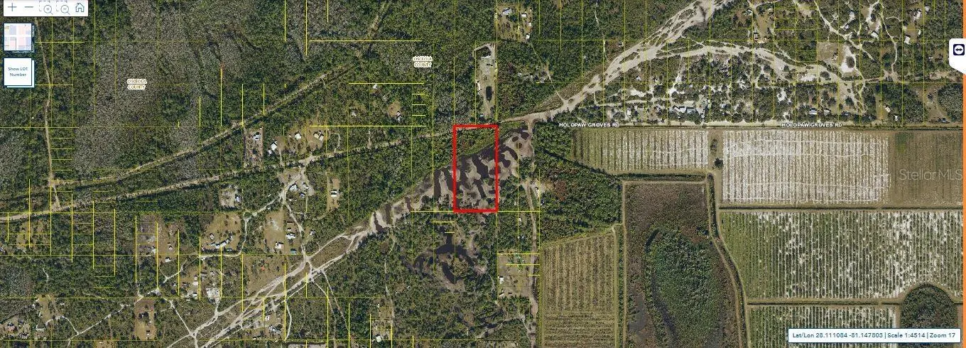 Holopaw Groves Road, FL