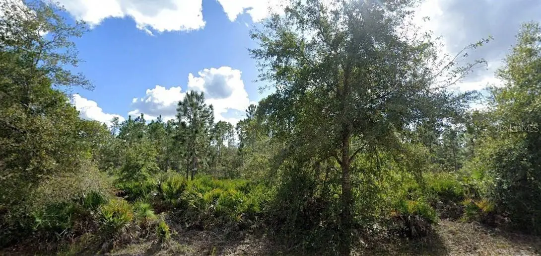 Alba Drive, FL