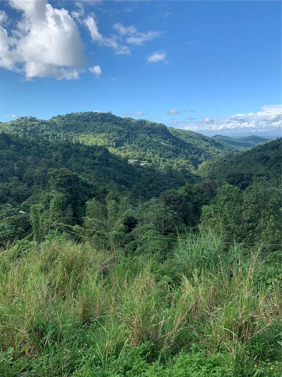 907 Carretera, PR