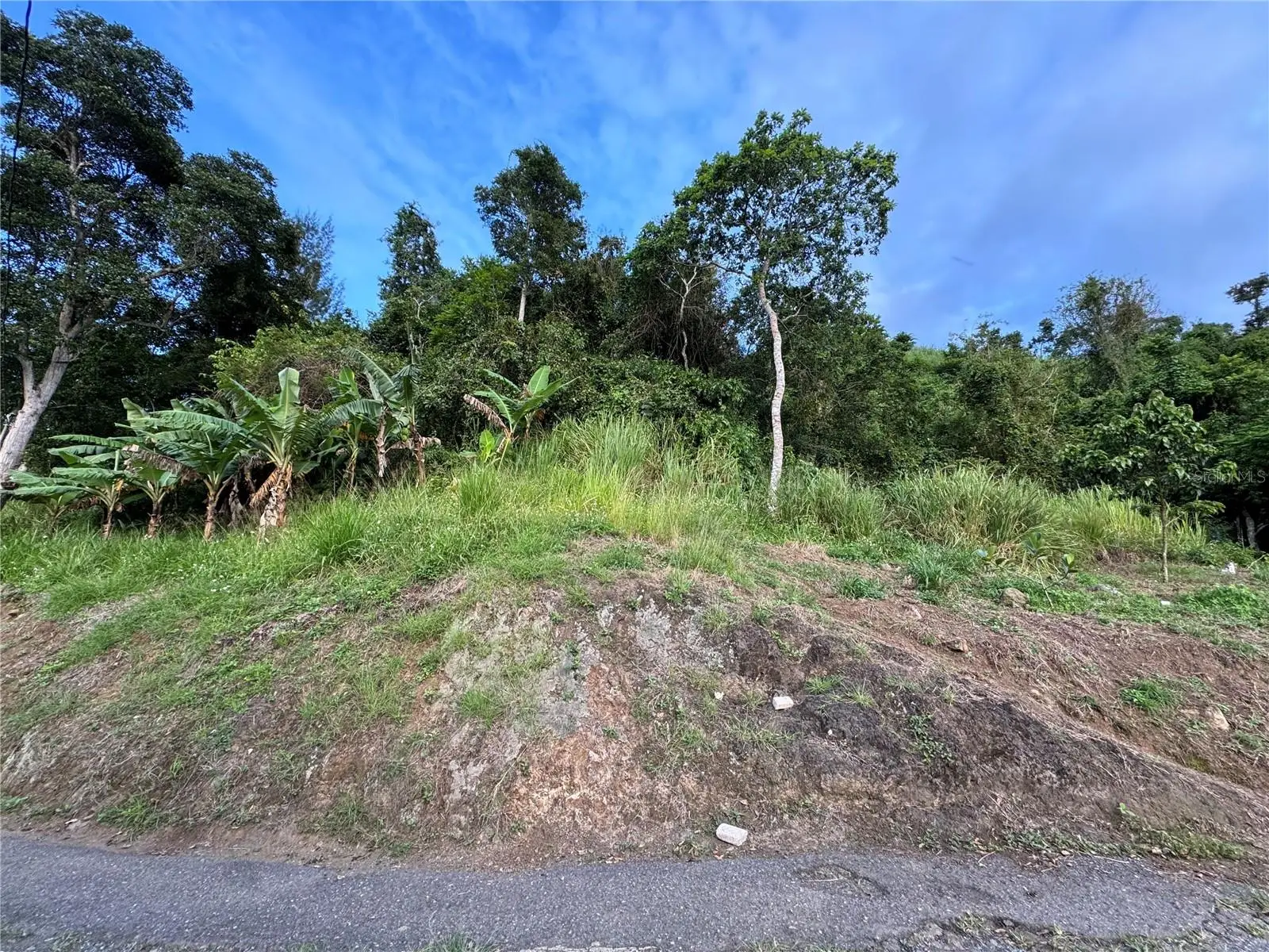 Pr 173 Km 5.9 Barrio Salto, Int., PR