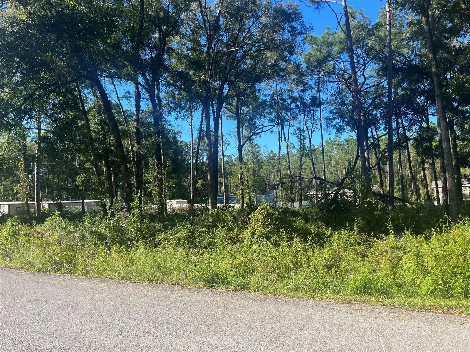 Nw 20th St, FL