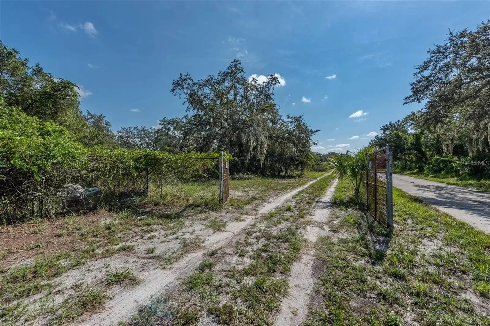 12154 Bullfrog Creek Road, FL