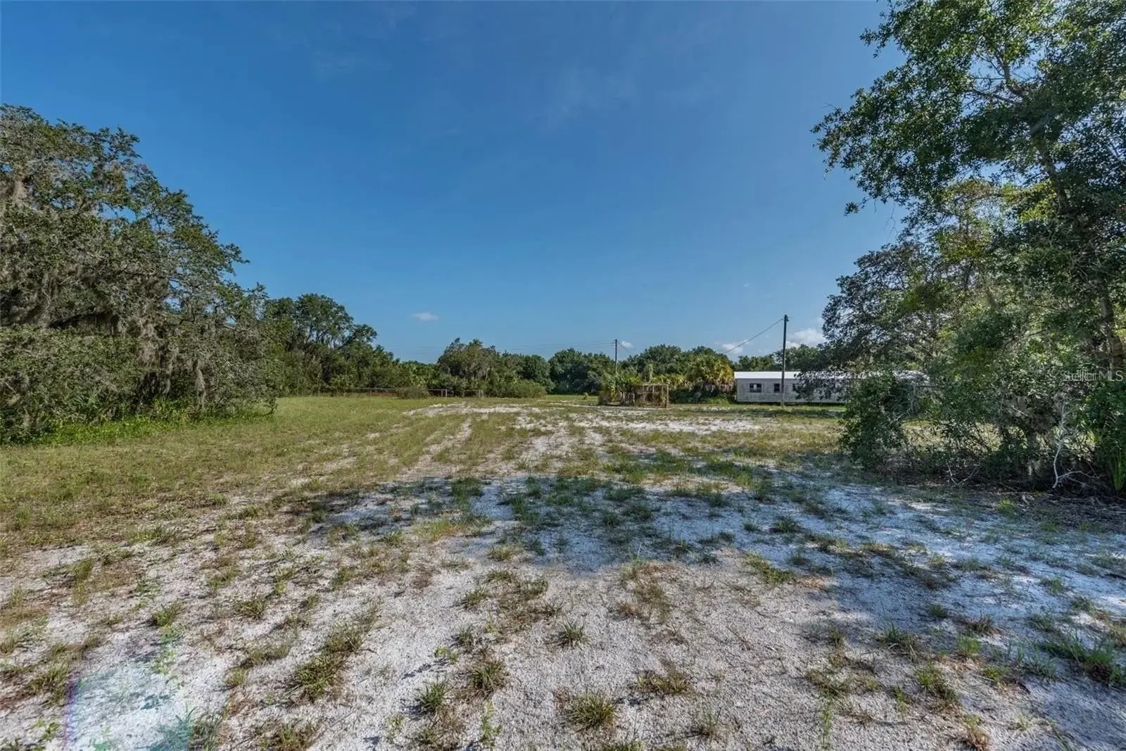 12154 Bullfrog Creek Road, FL