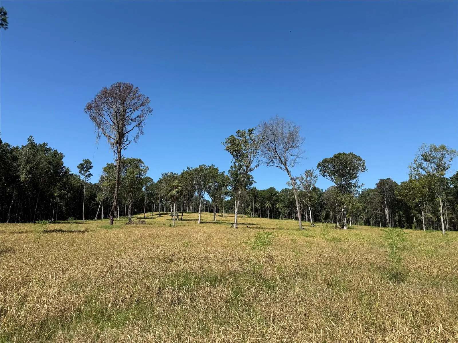 62ac 193rd St, FL