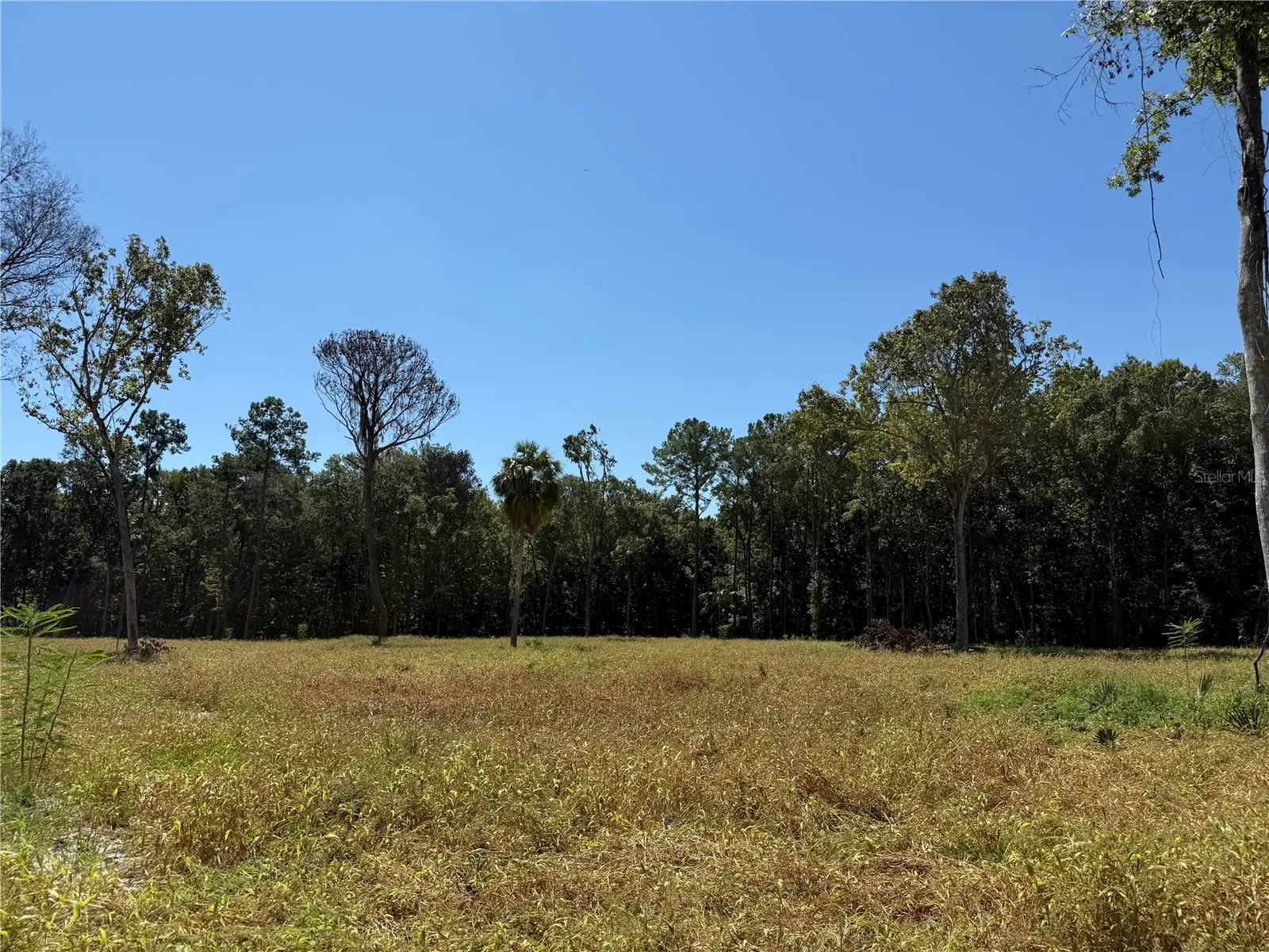 62ac 193rd St, FL