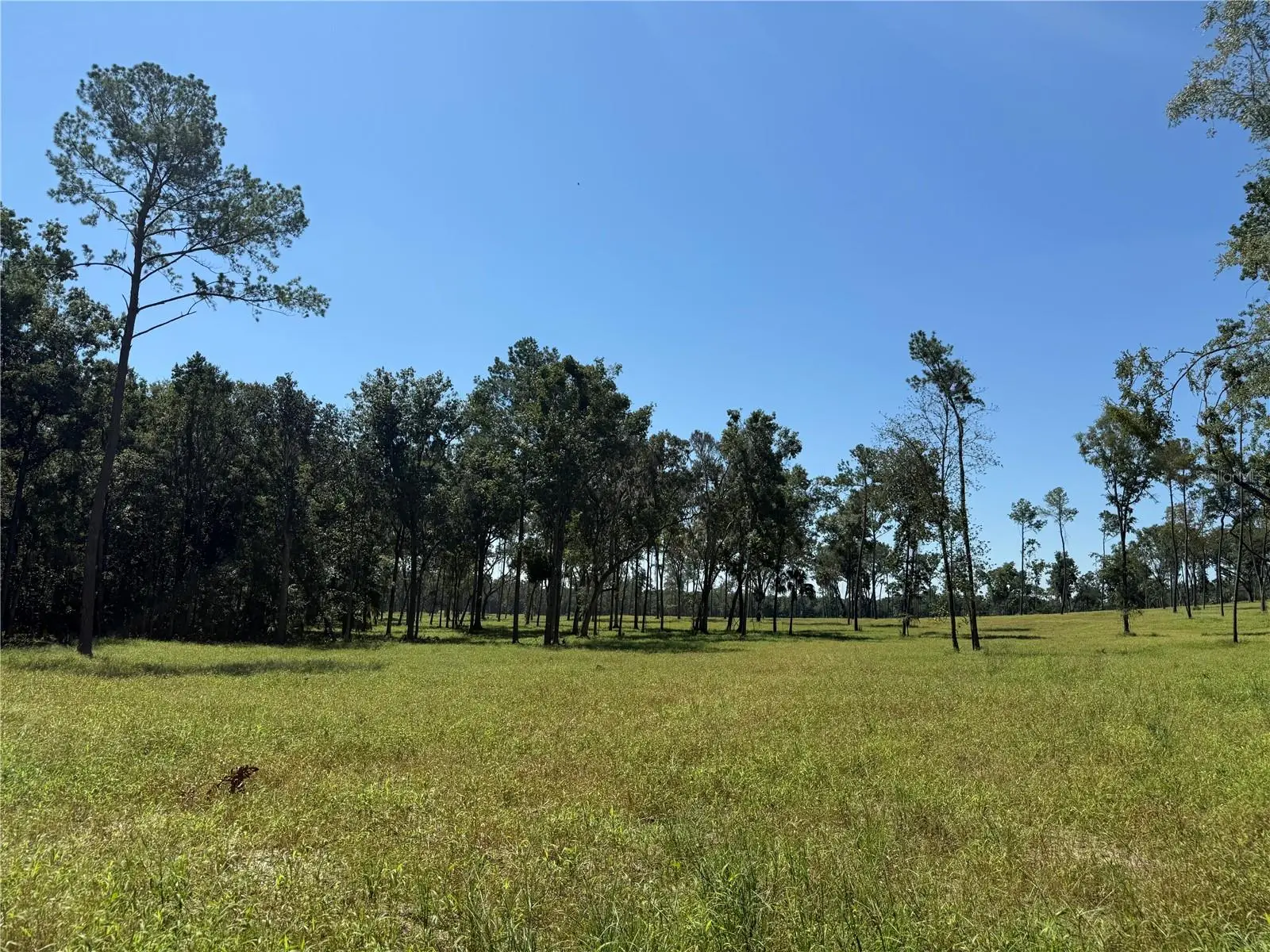 62ac 193rd St, FL