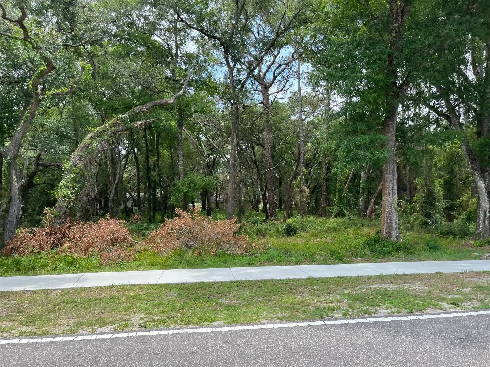12120 Hicks Road, FL