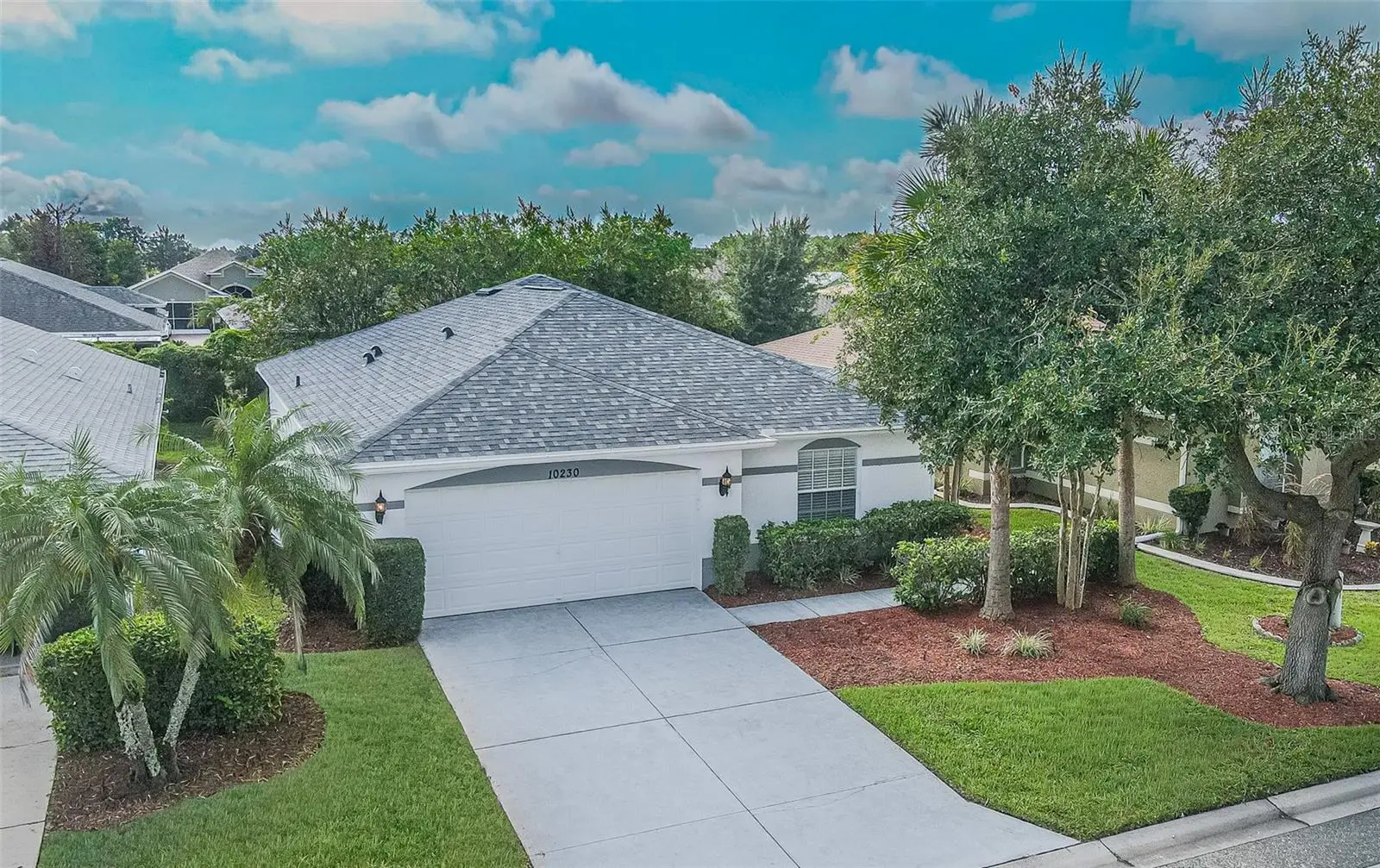 10230 Old Tampa Bay Drive, FL