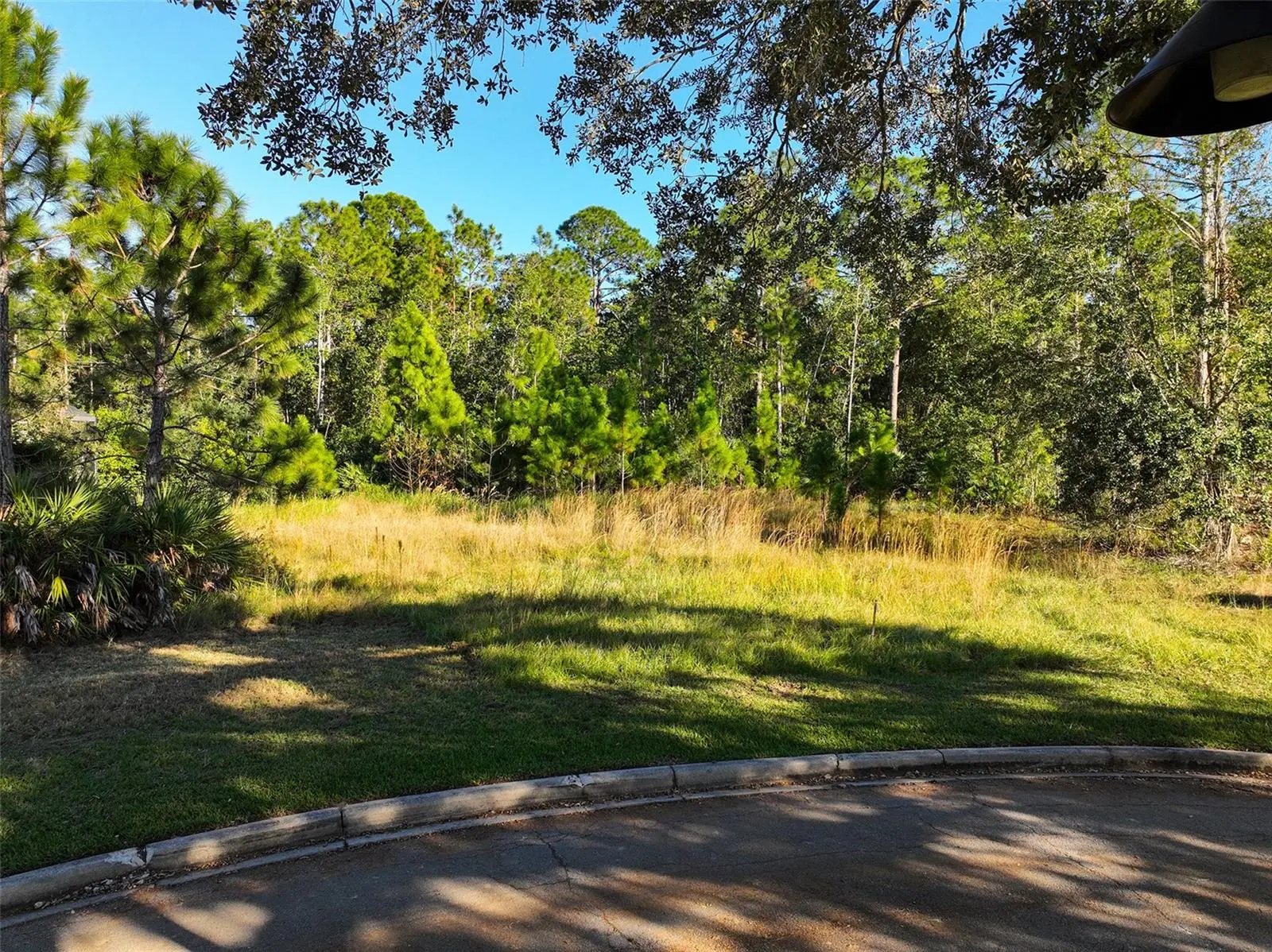 7161 Oak Glen Trl, FL
