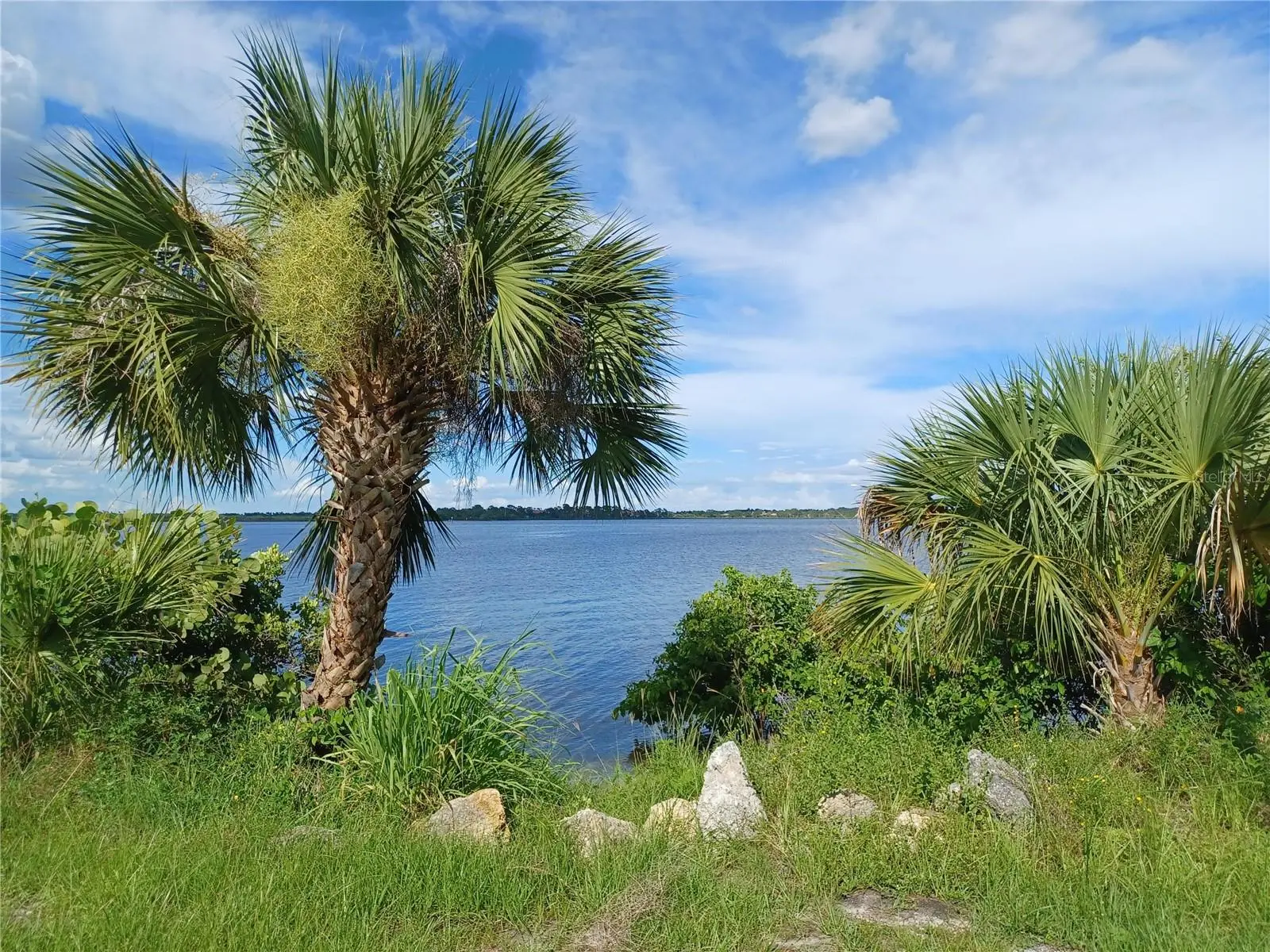 4195 Spire Street, FL