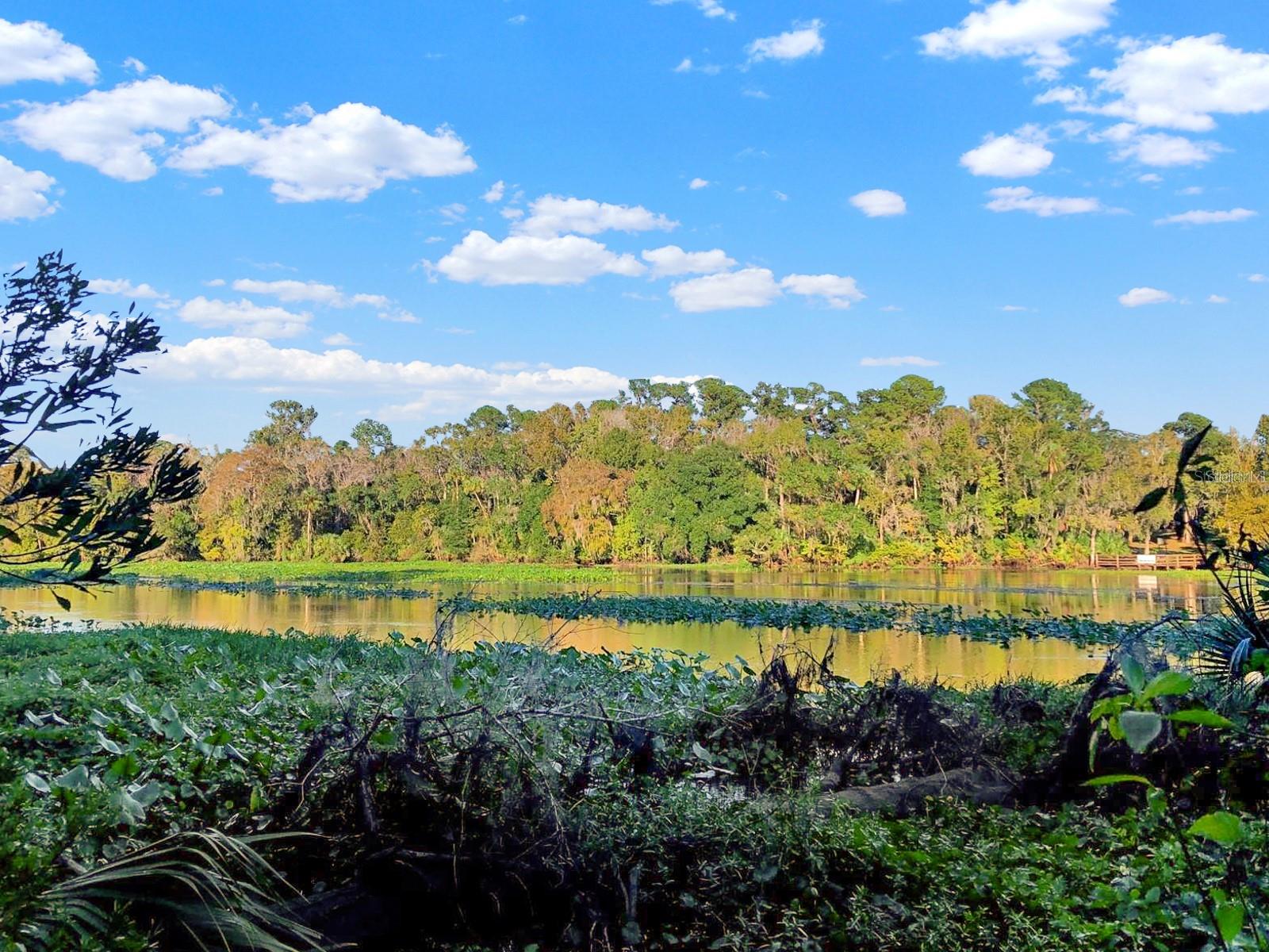 Bronson Road, FL