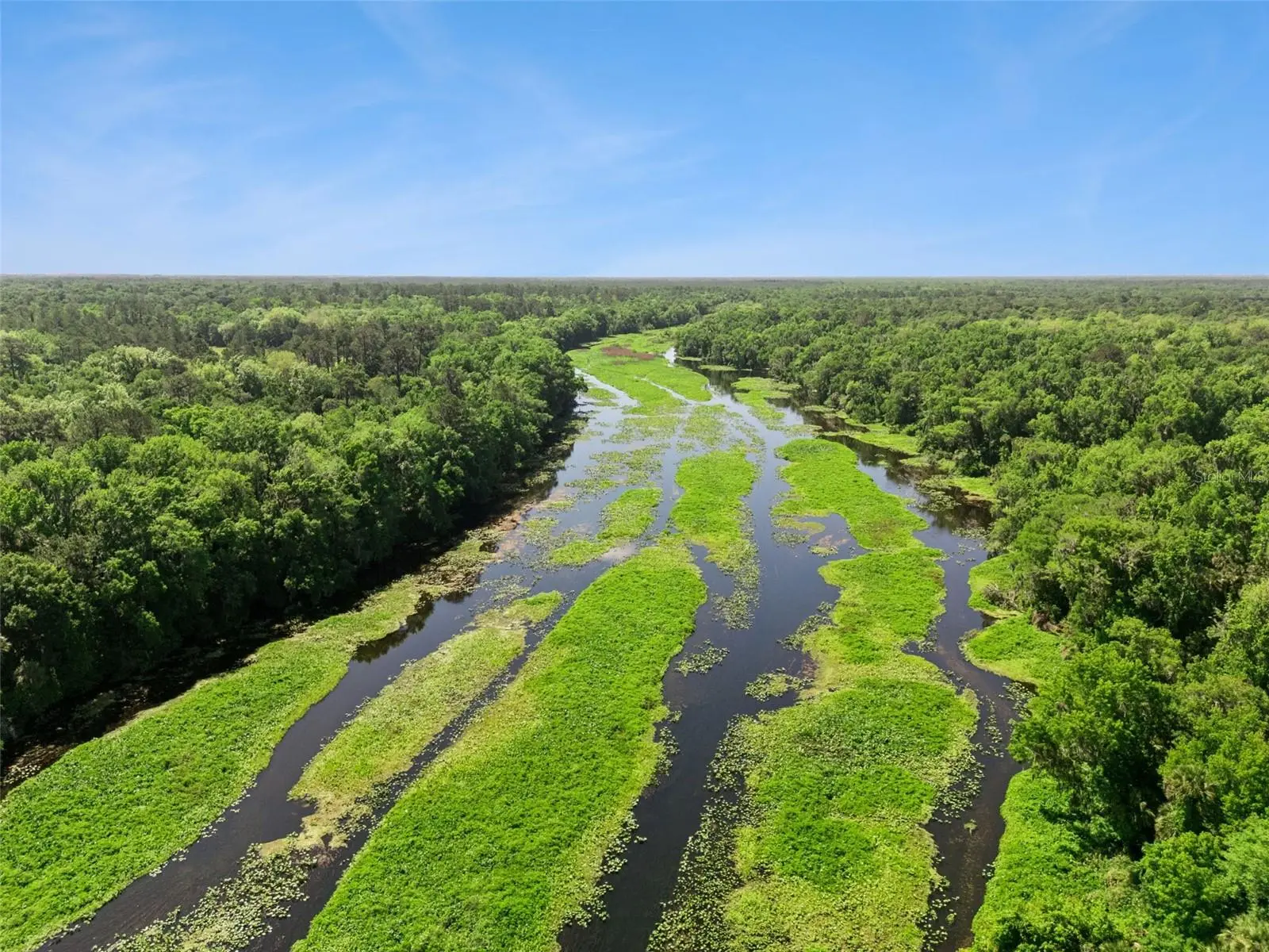 Bronson Road, FL