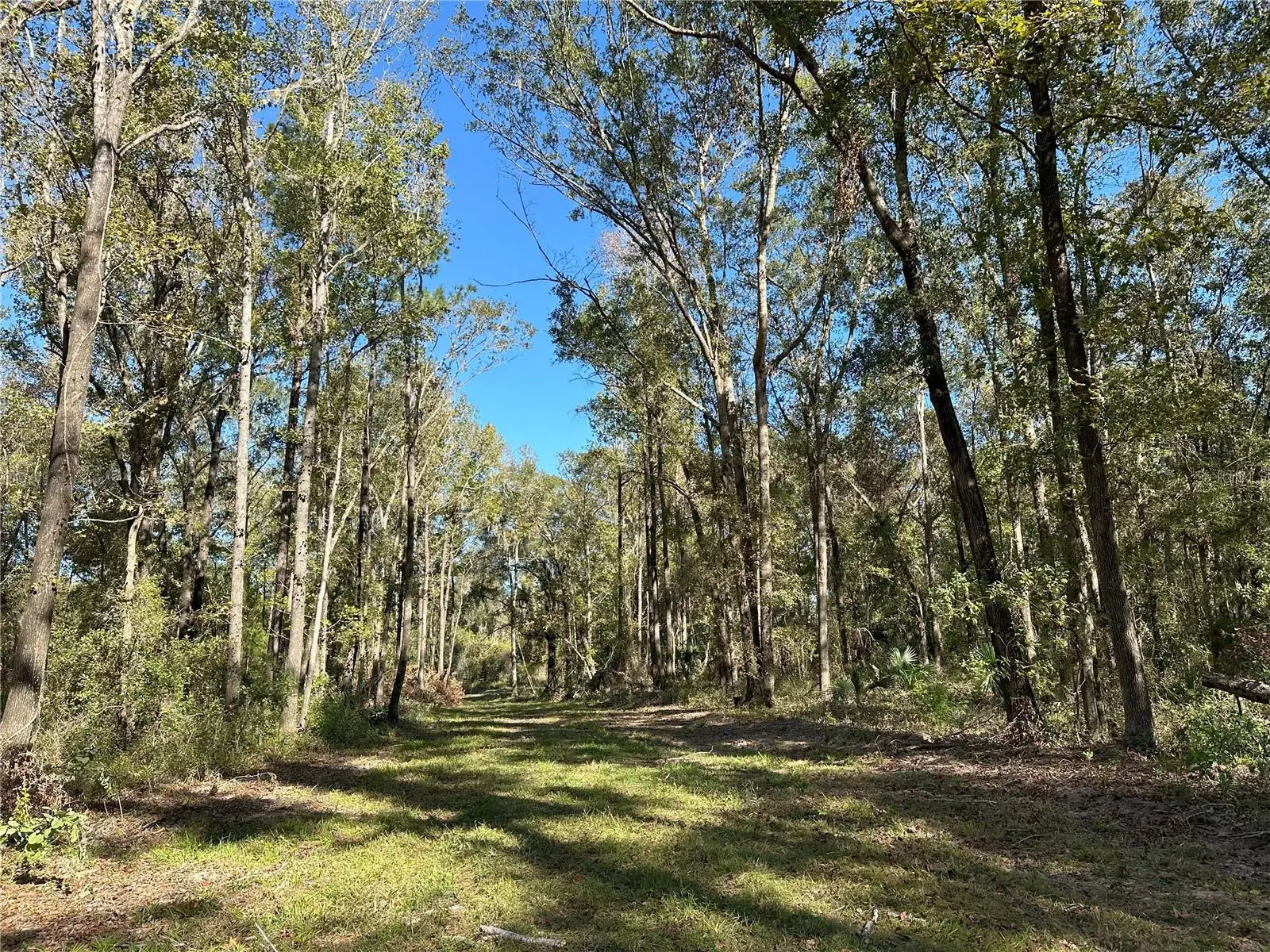 55ac W Hwy 318, FL