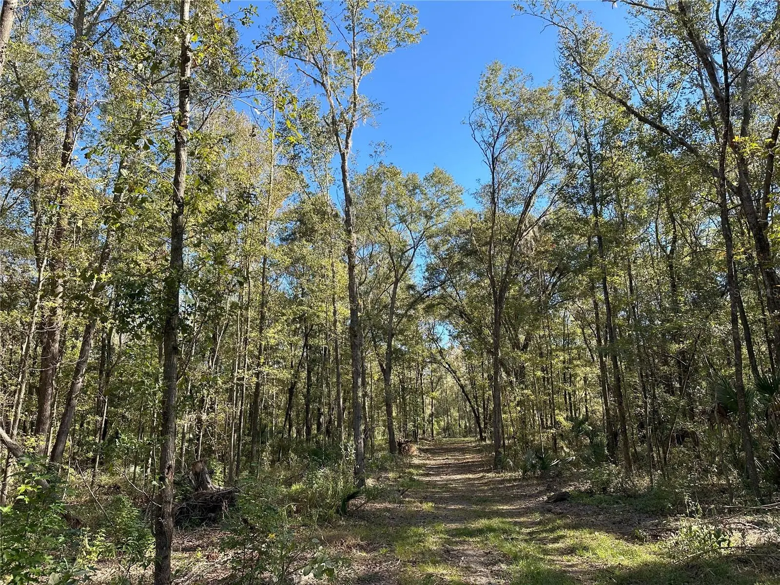55ac W Hwy 318, FL