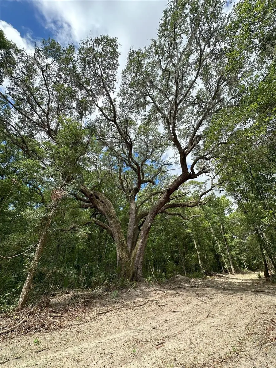 55ac W Hwy 318, FL