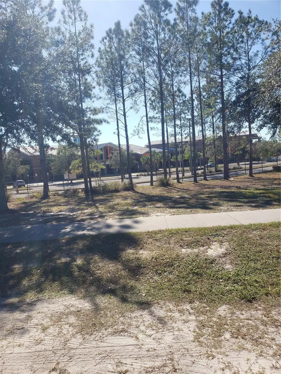 Chestnut Avenue, FL