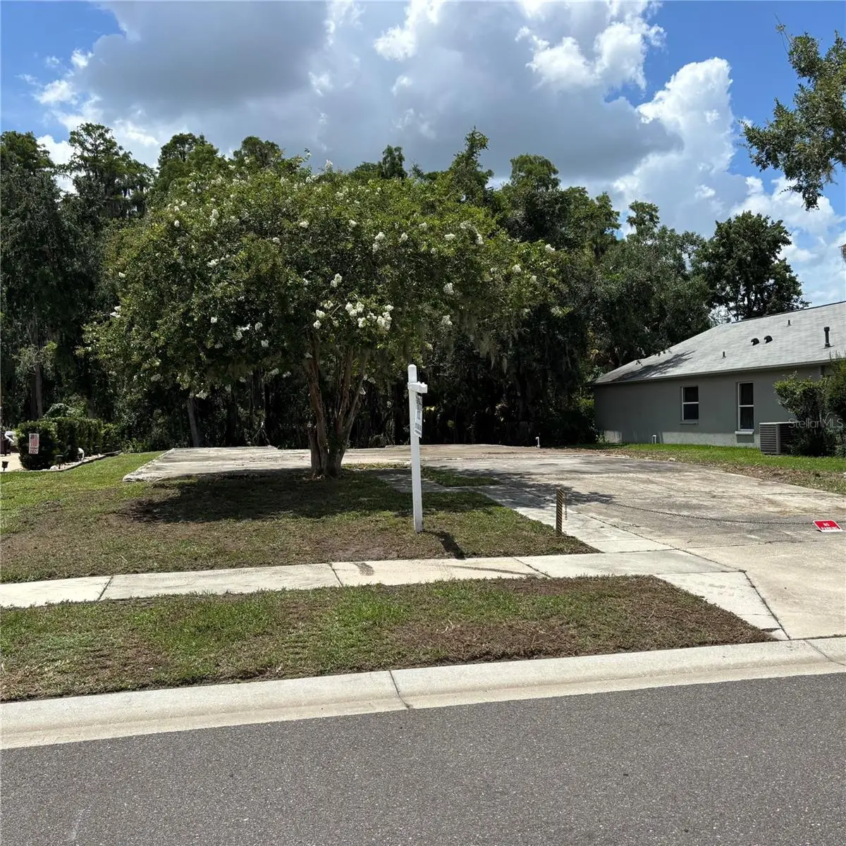 1323 Baythorn Drive, FL