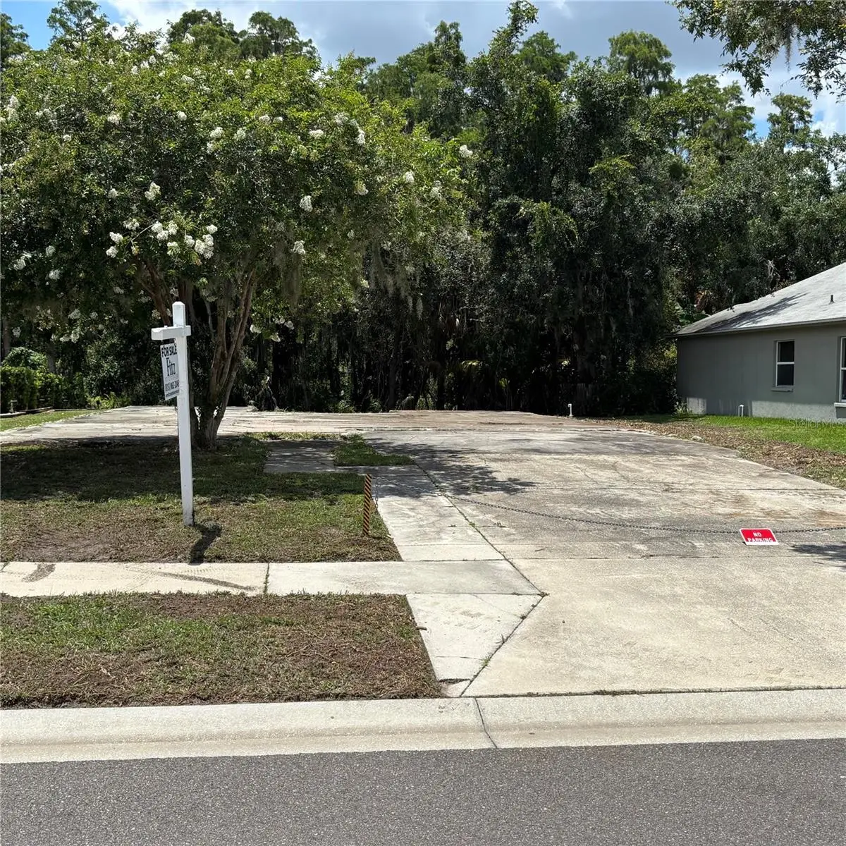 1323 Baythorn Drive, FL