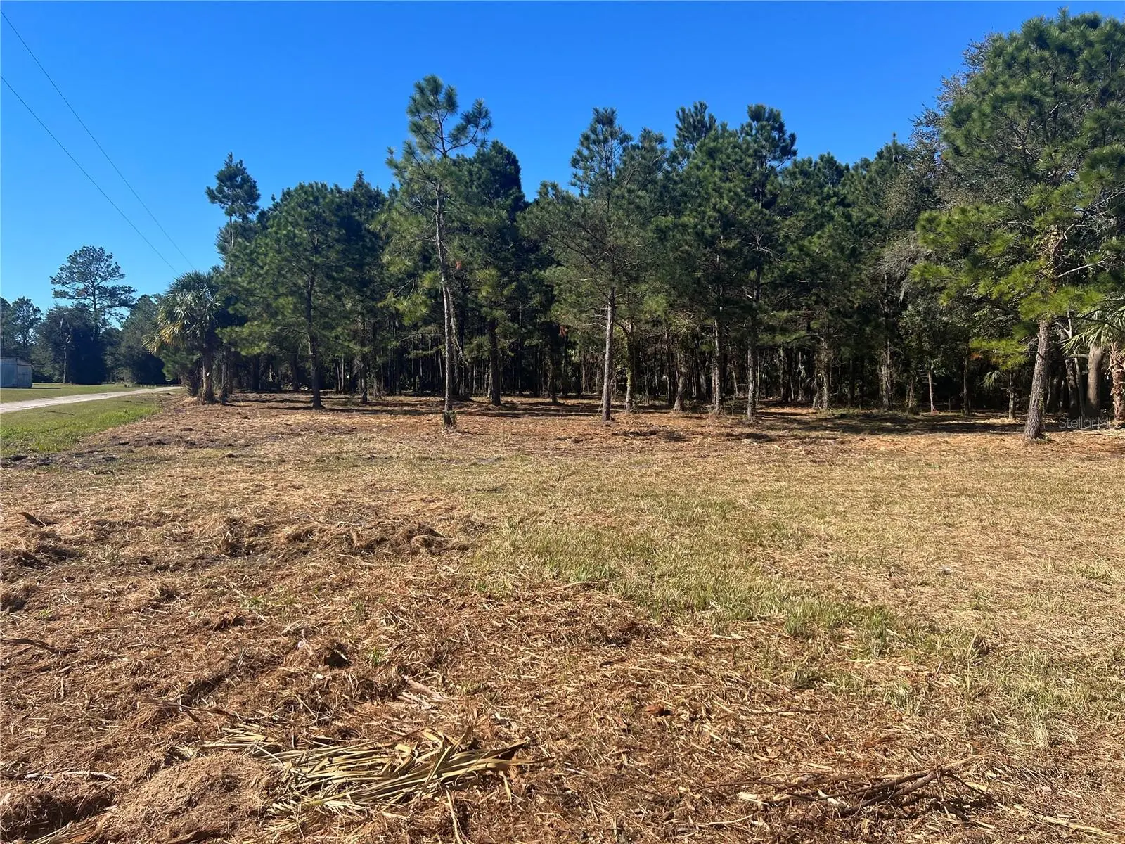 17802 Us-301, FL