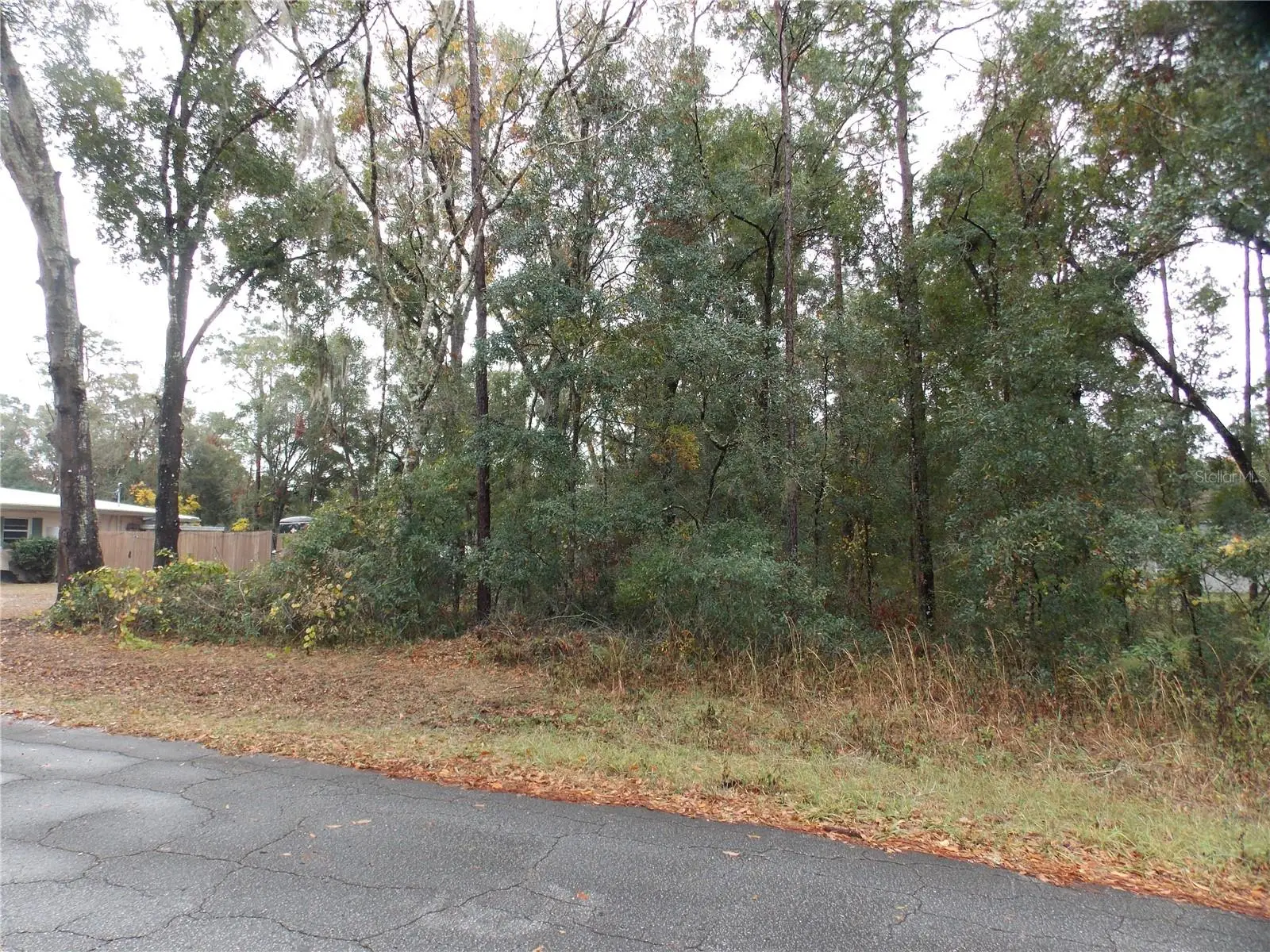6660 Haynes Lane, FL