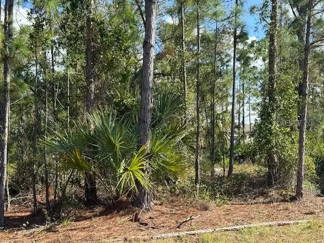 142 Algonquin Street, FL