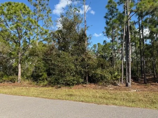 142 Algonquin Street, FL