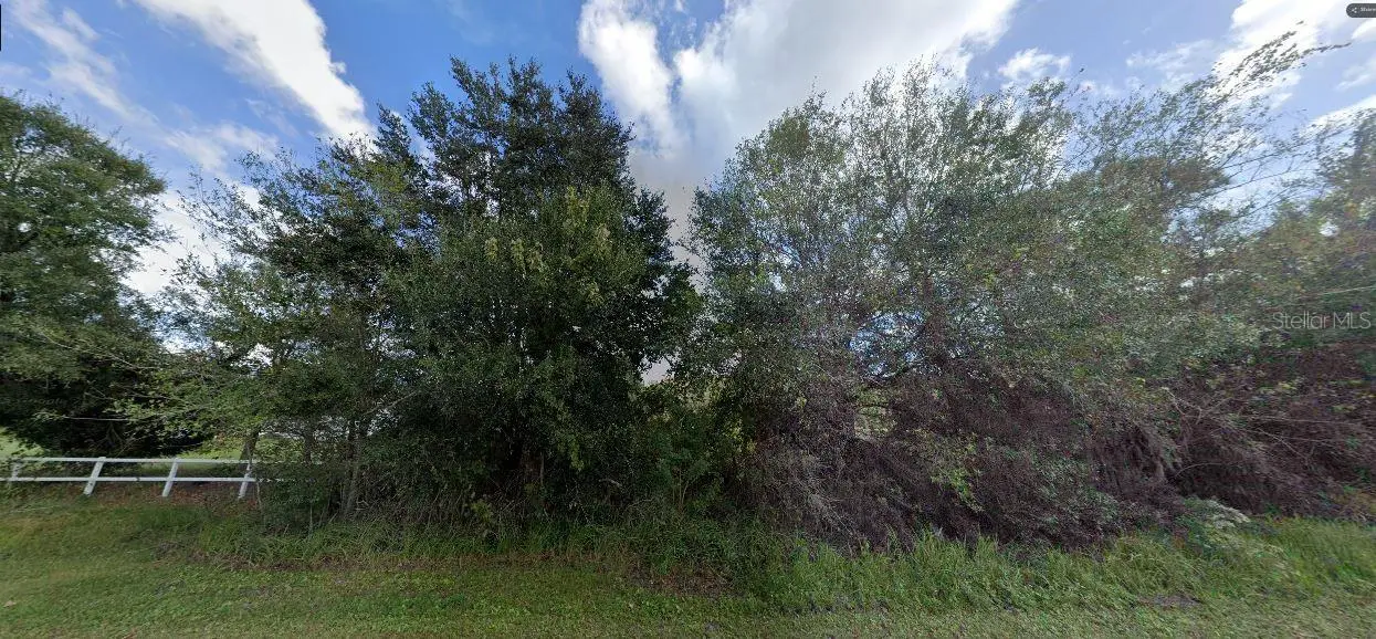 Tall Pine Road, FL
