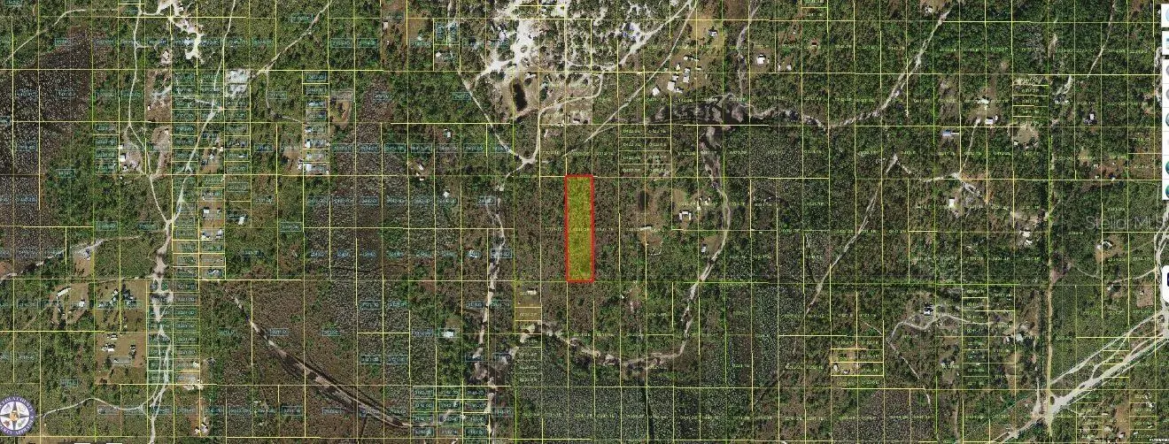 Holopaw Groves Road, FL