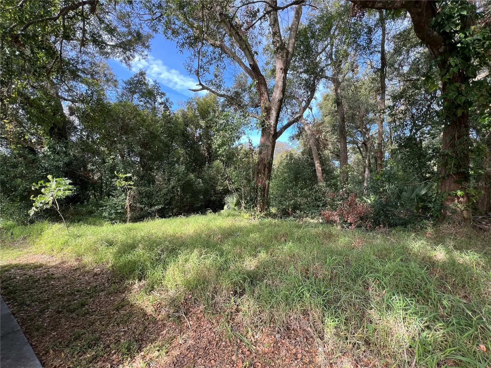 875 Ocoee Apopka Road, FL