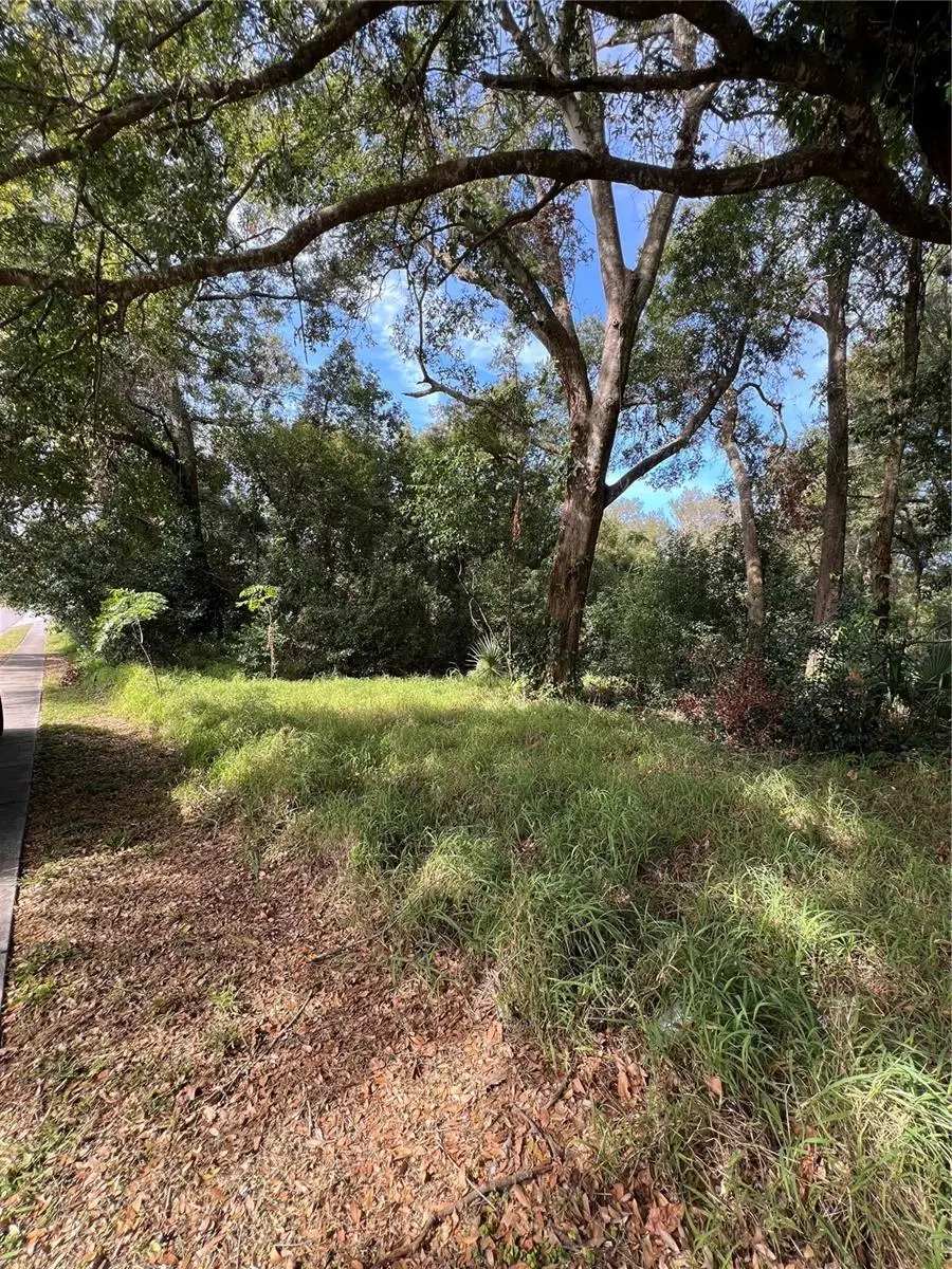 875 Ocoee Apopka Road, FL