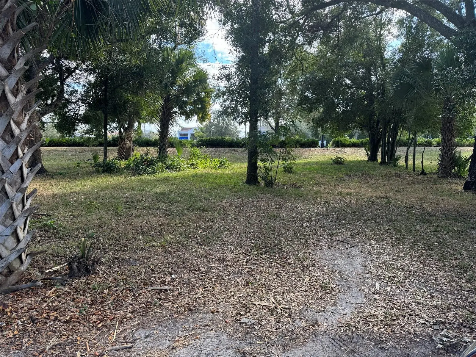 Magnolia Street, FL