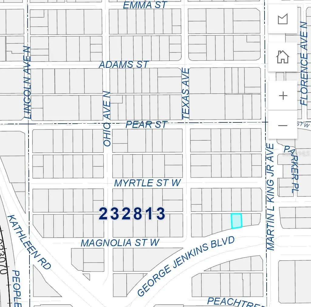 Magnolia Street, FL