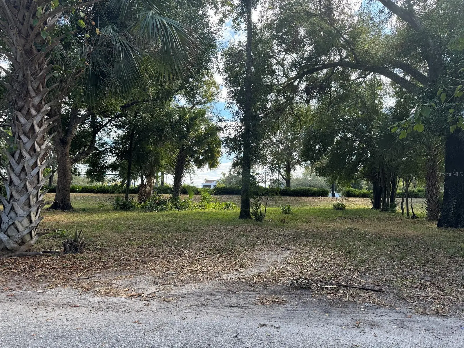 Magnolia Street, FL