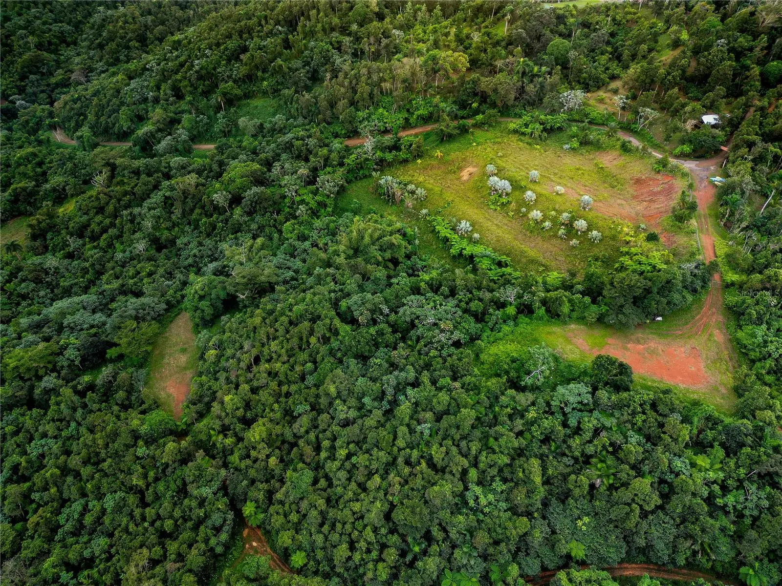 Naranjo Ward Int. Pr 984, PR