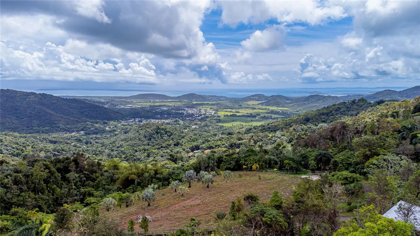 Naranjo Ward Int. Pr 984, PR