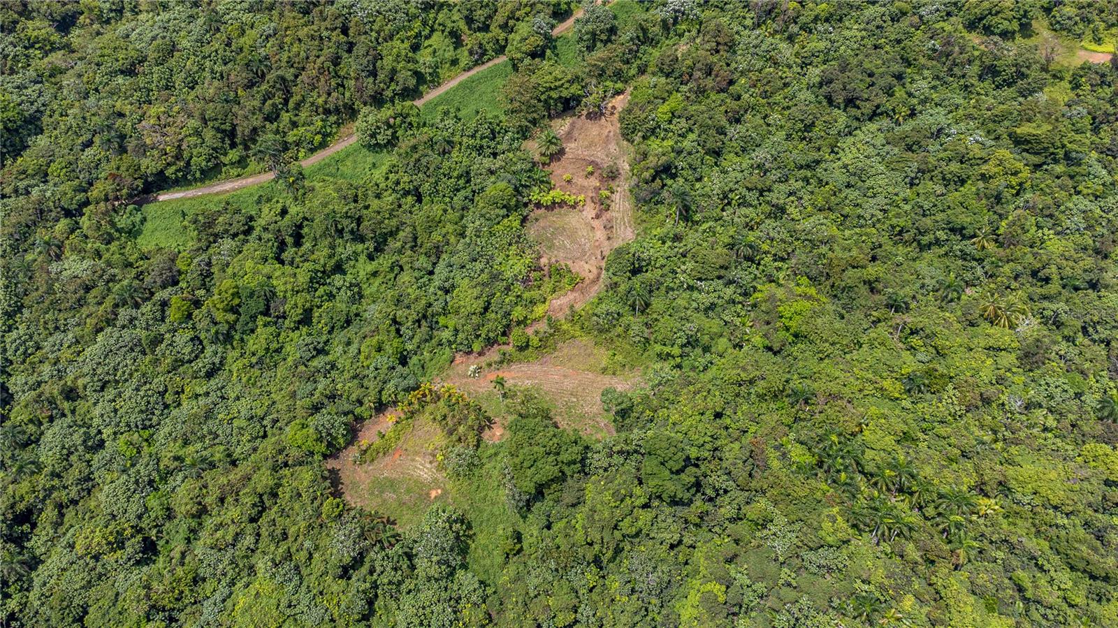 Naranjo Ward Int. Pr 984, PR