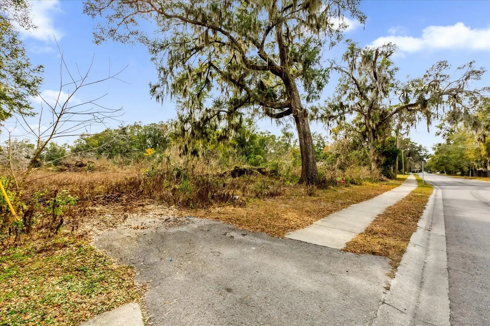 1650 7th Street, FL