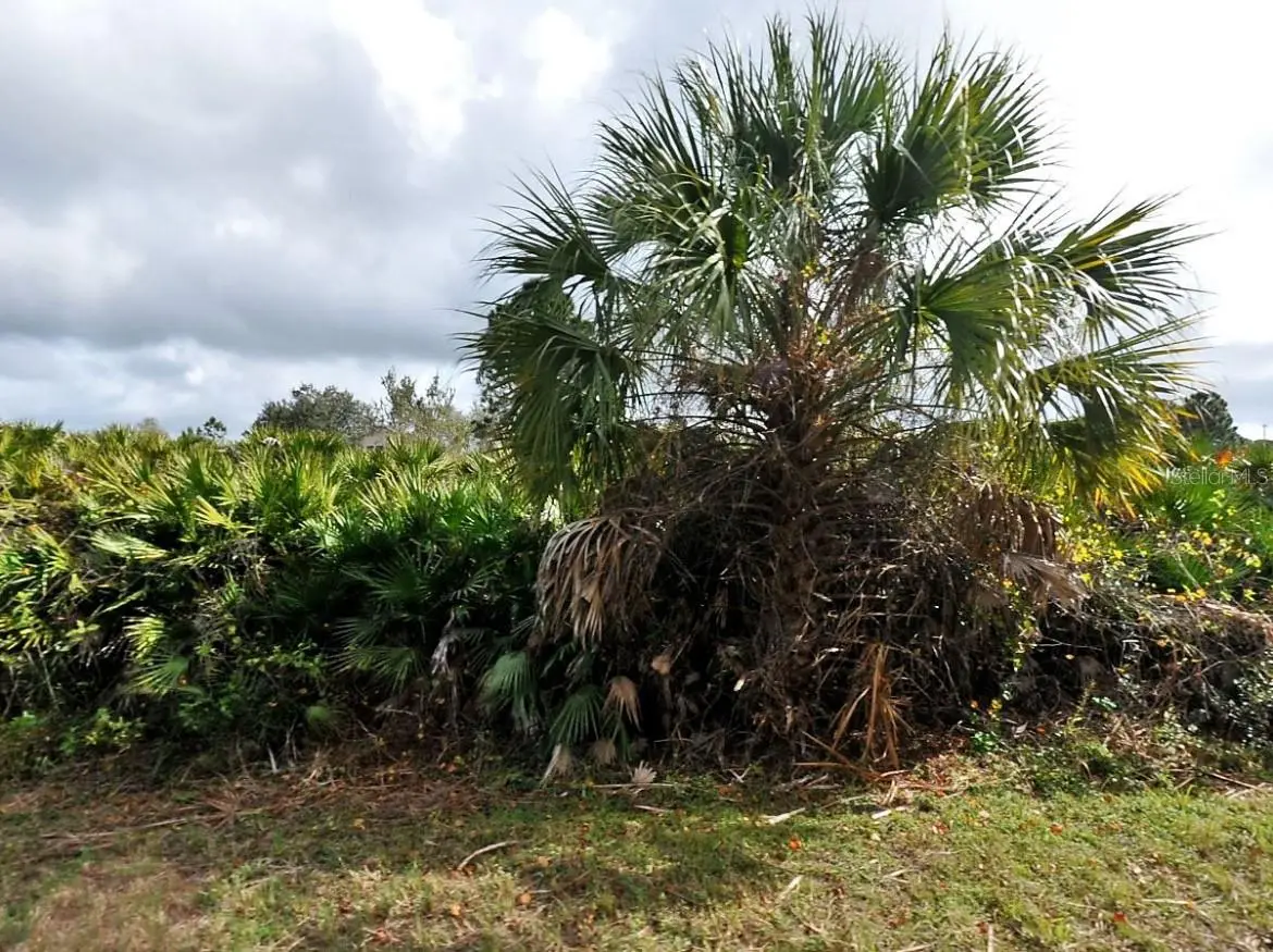 Callaghan Lane, FL