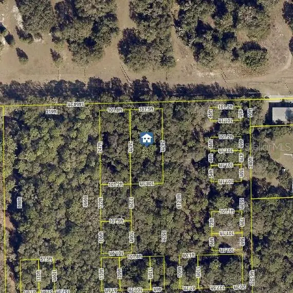 No Street, FL