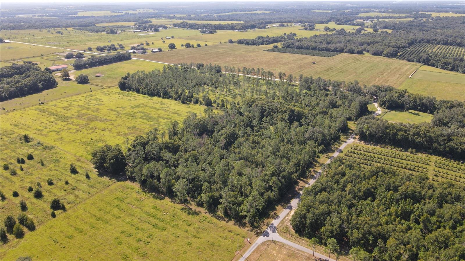 Amberlea Road, FL