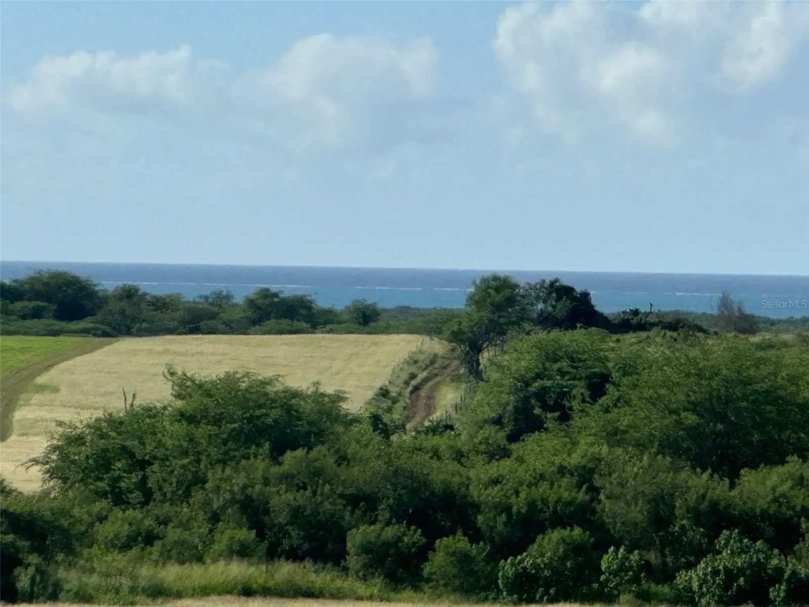 Bo. Llanos Costa Solar 7, PR