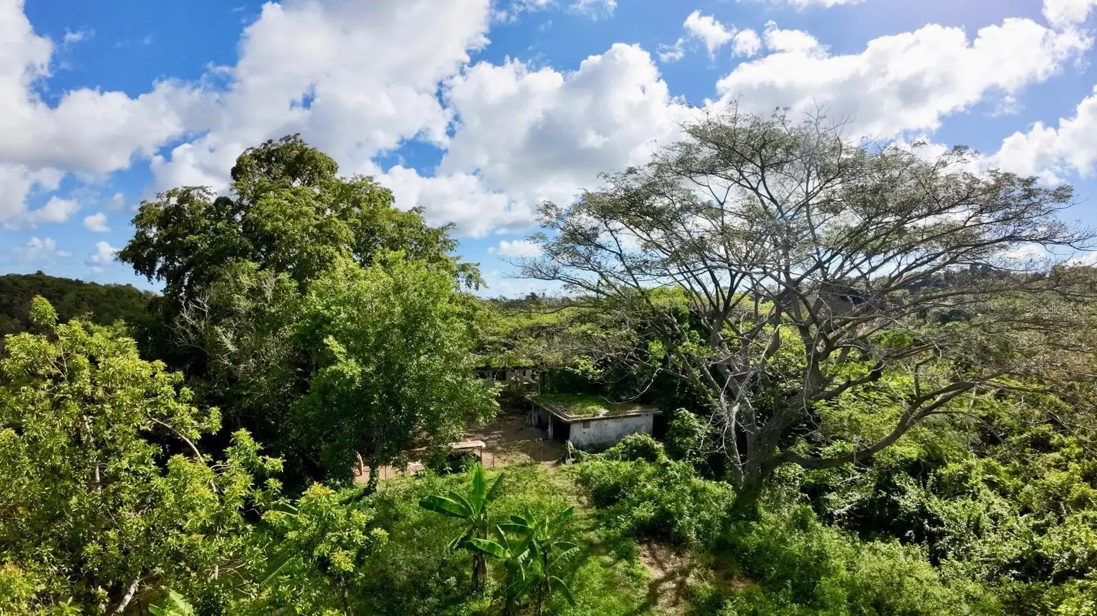 Rd. 859 Km. 1.5 Bo. Santa Cruz, PR
